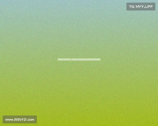 中国职业电子竞技选手,《赛场上的追梦赤子：一位电竞国手的荣光征途》